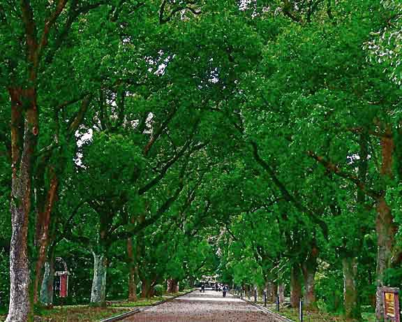 芦屋プラン株式会社 宇治市植物公園